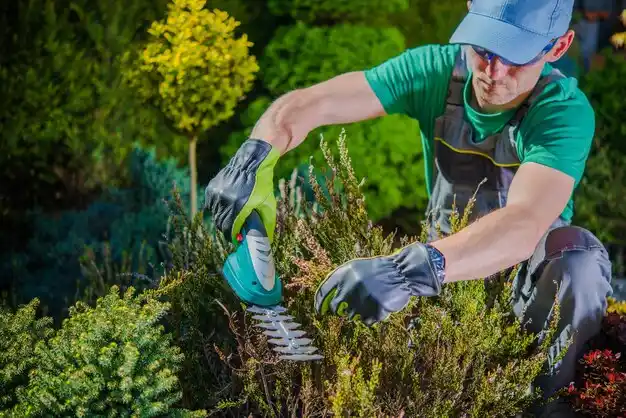 landscaping services Cairo